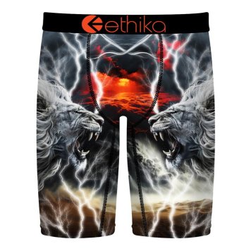カーニバルブルー/ブラック/ミスティグレーエシカ：LION STRIKE (ライオン・ストライク)[ボクサーパンツ/ 男性下着/ メンズインナー/人気ブランド/おすすめギフト/誕生日プレゼント/メンズファッション]