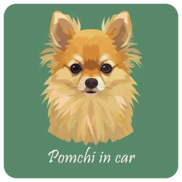 ドッグ カーステッカー イラスト付 Dog in Car ポメチワ Aタイプ セーフティサイン 犬種別 正方形 13x13cm シール リア あおり運転対策 Dog Sticker 屋外 屋内 防水 かわいい おしゃれ 安全対策 カーサイン