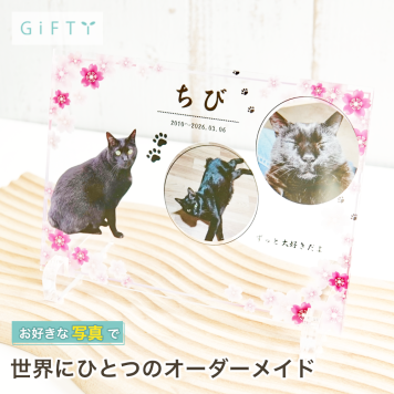 ペット アクリルパネル メモリアル 猫 癒しグッズ デザイン 思い出 記念日 仏壇代わりに ペットオーナーへ 高級感 感謝 写真の見せ方 愛猫家へ ペットのいる暮らし 写真加工 贈り物 愛犬家へ ペットへの想い サプライズ 写真 虹の橋 愛情表現 大切な家族へ リビングに飾る 名入れ おしゃれ 誕生日 うちの子 プレゼント オリジナル 上質 供養 記念品 ギフト 癒しのインテリア【a48】