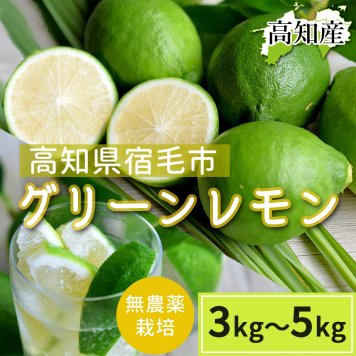 グリーンレモン 無農薬 高知産 レモン 檸檬 国産 皮ごと食べられる 国産レモン 産地直送 高知県宿毛市 産直 グルメ 出荷時期によりグリーンからイエローに変化します【送料無料】
