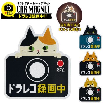 ドライブレコーダー ステッカー 通販 マグネット リフレクター 車 カー用品 車用品 おしゃれ ドライブレコーダー 磁石 ドラレコ かわいい 録画中 煽り運転防止 セキュリティー 防犯 あおり運転防止 猫 ねこ グッズ