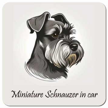 イラスト付 Dog in Car ミニチュアシュナウザー Bタイプ カーサイン 車 マグネットステッカー 犬 マグネット 強力 13x13cm 正方形 おしゃれ かわいい ドラレコステッカー 安全対策 危険運転 煽り運転 アニマル 動物 犬種別 屋外 防水 屋内