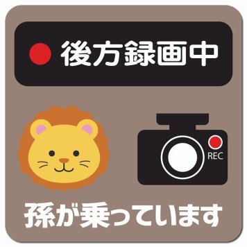 孫が乗っています 後方録画中 らいおん グレーベージュ カーサイン 車 マグネットステッカー マグネット 強力 13x13cm 正方形 防水 屋内 屋外 セーフティサイン 安全運転 車内用 煽り運転対策 安全対策 カーサイン イラスト かわいい