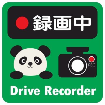 ドラレコ ステッカー シール 録画中 Drive Recorder ぱんだ グリーン 13x13cm 正方形 おしゃれ かわいい ドラレコシール 安全対策 危険運転 煽り運転 前後 アニマル 動物 イラスト付 ドライブレコーダー REC  カーサイン