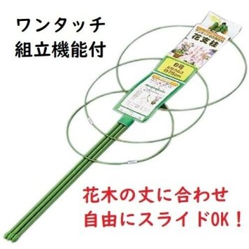 花支柱8号 75cm ワンタッチ組立機能付 ささえ あさがお ガーデニング ポイント消化