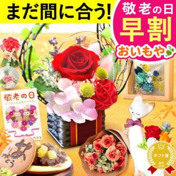 【早割 9/14 16時まで】 敬老の日 まだ間に合う 誕生日 プレゼント ギフト 花 プリザーブドフラワー ガラスドーム ミニ インテリア リース 置き物 猫 バラ 一輪 花束 シャボン ソープフラワー 枯れない かわいい スイーツ お菓子 和菓子 洋菓子 メッセージ入り 2000円 3000円 もらって嬉しい センスがいい おしゃれ 40代 50代 60代 70代 80代 女性 フラワーギフト
