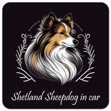 イラスト付 Dog in Car シェットランドシープドッグ Aタイプ カーサイン 車 マグネットステッカー 犬 マグネット 強力 13x13cm 正方形 おしゃれ かわいい ドラレコステッカー 安全対策 危険運転 煽り運転 アニマル 動物 犬種別 屋外 防水 屋内