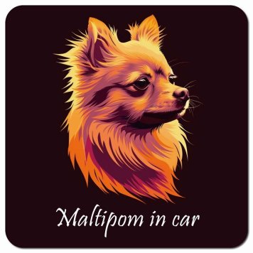 イラスト付 Dog in Car ポメマル Bタイプ カーサイン 車 マグネットステッカー 犬 マグネット 強力 13x13cm 正方形 おしゃれ かわいい ドラレコステッカー 安全対策 危険運転 煽り運転 アニマル 動物 犬種別 屋外 防水 屋内