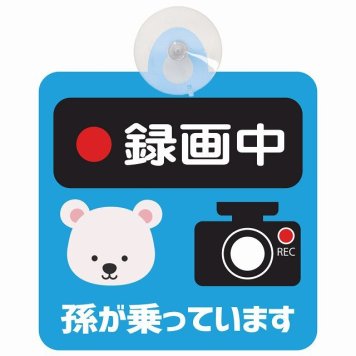 孫が乗っています 録画中 しろくま ライトブルー セーフティサイン 吸盤タイプ 収れん火災防止タイプ 安全運転 車内用 煽り運転対策 安全対策 カーサイン イラスト かわいい