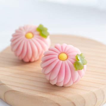 季節の上生菓子おまかせ6個セット【送料無料】 上生菓子 プレゼント 和菓子 ギフト お誕生日 御礼 御祝 贈答 お返し 練切 父の日 お中元