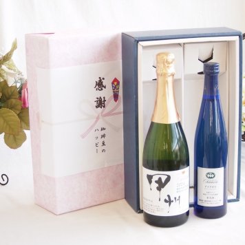 感謝の贈り物ボックス 穂坂甲州種ぶどう100%辛口スパークリングワインと国産ワインセット(シャンモリナイアガラ白ワイン (山梨県)500mlシャンモリ柑橘香 穂坂甲州スパークリングワイン(山梨県)750ml