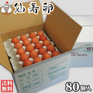 仙寿卵80個入(破損保証8個を含む)ギフト【送料無料(北海道・沖縄を除く)】