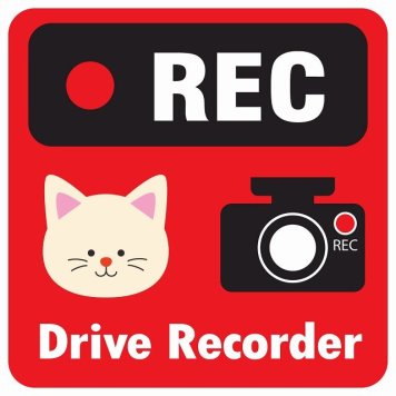 ドラレコ ステッカー シール REC Drive Recorder ねこ レッド 13x13cm 正方形 おしゃれ かわいい ドラレコシール 安全対策 危険運転 煽り運転 前後 アニマル 動物 イラスト付 ドライブレコーダー 録画 カーサイン