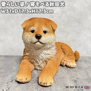 犬の置物 寝そべる秋田犬 横幅31cm woobia ウービア 大きい かわいい おしゃれ ガーデン インテリア オブジェ 可愛い プレゼント 北欧 玄関 雑貨 動物 モダン 面白い 庭 ギフト 屋外 家 リアル 玄関先 ガーデンオーナメント