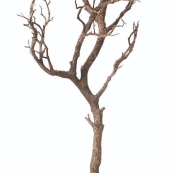 人工観葉植物　　マンザニータ93ｃｍ