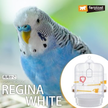 イタリアferplast社製 鳥かご おしゃれ アンティーク　レジーナ ホワイト 鳥籠 ゲージ フルセット カナリア セキセイインコ 小型鳥用  インテリア かわいい