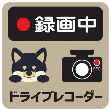 ドラレコ ステッカー シール 録画中 ドライブレコーダー 黒柴 グレーベージュ 13x13cm 正方形 おしゃれ かわいい ドラレコシール 安全対策 危険運転 煽り運転 前後 アニマル 動物 イラスト付 ドライブレコーダー REC  カーサイン
