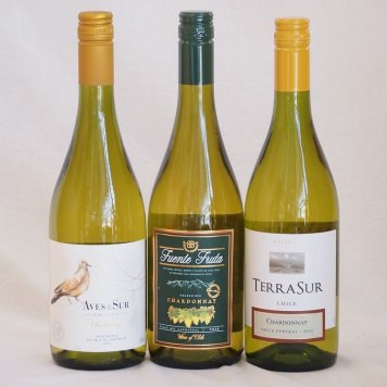ALLシャルドネチリワイン3本セット(テラスル フエンテ フルータ ビーニャ・デル・ペドリガル デル・スール) 750ml×3本