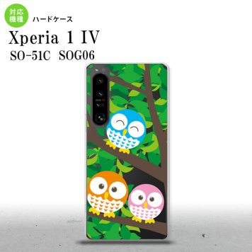 SO-51C SOG06 XPERIA 1 IV Xperia 1 IV スマホケース 背面ケース ハードケース フクロウ B 緑 メンズ レディース nk-xp14-1093