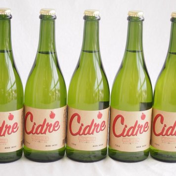 5本セット(長野県産りんご スペイン風シードル ストロングサワー 辛口) 750ml×5本