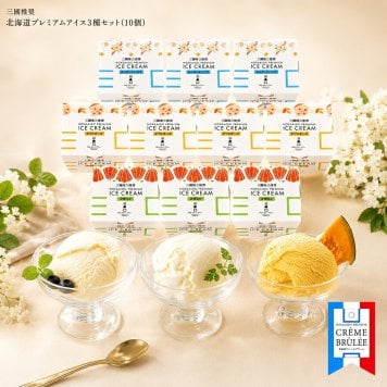 メーカー直送  三國推奨　北海道プレミアムアイス３種セット(１０個)26-6023-09 贈答品 自宅用 プレゼント 人気  お誕生日 練乳のやさしい甘さが広がるアイスクリーム｢安全｣と｢人に優しい｣をテーマに素材を厳選。北海道の酪農家のフレッシュなものを使用