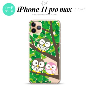 iPhone11ProMax iPhone11pro max スマホケース ハードケース フクロウ A 緑 メンズ レディース nk-i11pm-1092