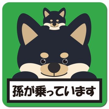 孫が乗っています 祖父母と孫 黒柴 グリーン カーサイン 車 マグネットステッカー マグネット 強力 13x13cm 正方形 防水 屋内 屋外 セーフティサイン 安全運転 車内用 煽り運転対策 安全対策 カーサイン イラスト かわいい