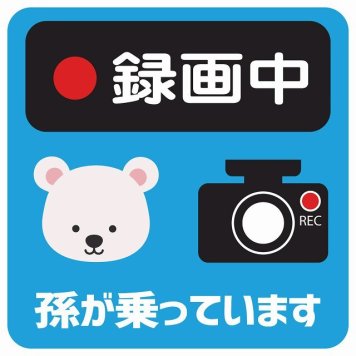 孫が乗っています 録画中 しろくま ライトブルー サインステッカー シール 車 ステッカー 正方形 13x13cm 防水 屋内 屋外 セーフティサイン 安全対策 車用 安全運転 煽り運転対策 安全対策 かわいい イラスト カーサイン