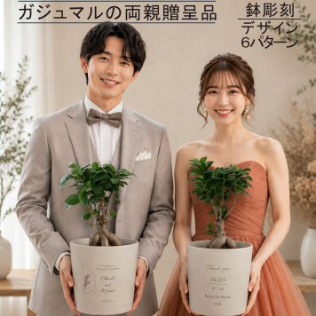 【ガジュマル両親贈呈品】 ガジュマル 記念樹 名入れ 鉢植え 結婚式 ウェディング 子育て感謝状 感謝状 両親プレゼント 両親ギフト 結婚祝い 新居祝い 新郎新婦 記念日 観葉植物 彫刻 インテリア
