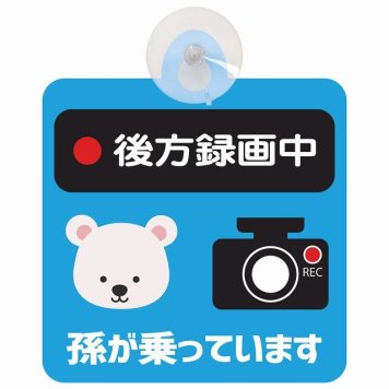 孫が乗っています 後方録画中 しろくま ライトブルー セーフティサイン 吸盤タイプ 収れん火災防止タイプ 安全運転 車内用 煽り運転対策 安全対策 カーサイン イラスト かわいい