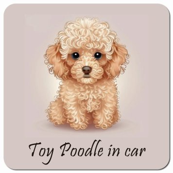 イラスト付 Dog in Car トイプードル Bタイプ カーサイン 車 マグネットステッカー 犬 マグネット 強力 13x13cm 正方形 おしゃれ かわいい ドラレコステッカー 安全対策 危険運転 煽り運転 アニマル 動物 犬種別 屋外 防水 屋内