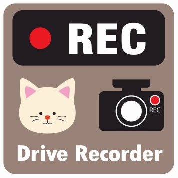 ドラレコ ステッカー シール REC Drive Recorder ねこ グレーベージュ 13x13cm 正方形 おしゃれ かわいい ドラレコシール 安全対策 危険運転 煽り運転 前後 アニマル 動物 イラスト付 ドライブレコーダー 録画 カーサイン