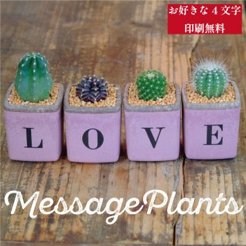 サボテン4個セット（LOVE）