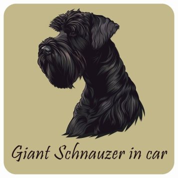 ドッグ カーステッカー イラスト付 Dog in Car ジャイアントシュナウザー Bタイプ セーフティサイン 犬種別 正方形 13x13cm シール リア あおり運転対策 Dog Sticker 屋外 屋内 防水 かわいい おしゃれ 安全対策 カーサイン