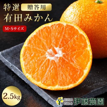 みかん 2.5kg 贈答用 秀品 特選 送料無料 和歌山 S M 小粒 中粒 手詰め 有田みかん 温州みかん ご当地 お出産内祝い 贈答 ギフト 誕生日 結婚祝い 出産祝い 内祝い ギフト