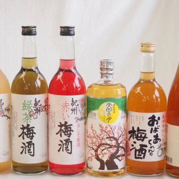 豪華梅酒6本セット(おばあちゃんの梅酒 赤しそ赤い梅酒(和歌山) 樽熟梅酒天空の月(大分) 文蔵梅酒(熊本) 蜂蜜梅酒(和歌山) 緑茶梅酒(和歌山)) 720ml×6本