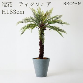 観葉植物 造花 ディクソニア BROWN 全高約183cm 大型 フェイクグリーン 高級 本物そっくり リアル おしゃれ 珍しい インテリア 人工観葉植物 アーティフィシャルグリーン オフィス 店舗 ホテル 開店祝い 室内 リビング 玄関 風水 木性シダ