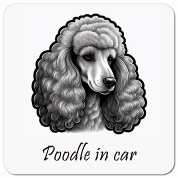 イラスト付 Dog in Car プードル Bタイプ カーサイン 車 マグネットステッカー 犬 マグネット 強力 13x13cm 正方形 おしゃれ かわいい ドラレコステッカー 安全対策 危険運転 煽り運転 アニマル 動物 犬種別 屋外 防水 屋内