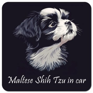 イラスト付 Dog in Car マルシーズー Bタイプ カーサイン 車 マグネットステッカー 犬 マグネット 強力 13x13cm 正方形 おしゃれ かわいい ドラレコステッカー 安全対策 危険運転 煽り運転 アニマル 動物 犬種別 屋外 防水 屋内