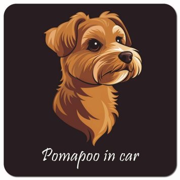イラスト付 Dog in Car ポメプー Bタイプ カーサイン 車 マグネットステッカー 犬 マグネット 強力 13x13cm 正方形 おしゃれ かわいい ドラレコステッカー 安全対策 危険運転 煽り運転 アニマル 動物 犬種別 屋外 防水 屋内