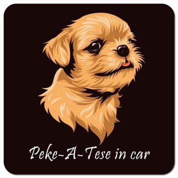 イラスト付 Dog in Car マルペキ Aタイプ カーサイン 車 マグネットステッカー 犬 マグネット 強力 13x13cm 正方形 おしゃれ かわいい ドラレコステッカー 安全対策 危険運転 煽り運転 アニマル 動物 犬種別 屋外 防水 屋内