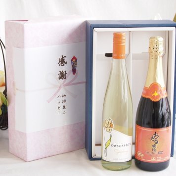 感謝の贈り物ボックス 華やかな香りカリフォルニアワインと国産ワインセット(おたる醸造 キャンベル赤スパークリングワインやや甘口(北海道)720mlアイアンストン オブセッション シンフォニー(アメリカ)750ml