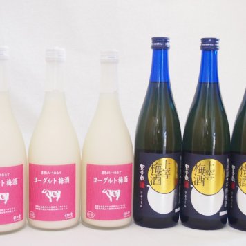 梅酒のみ比べ6本セット(ヨーグルト梅酒(福岡) 無添加上等梅酒(鹿児島)) 720ml×6本