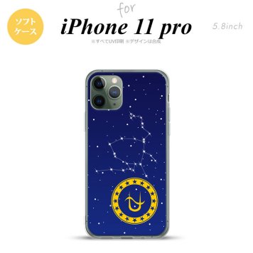 iPhone11Pro iPhone11 Pro スマホケース ソフトケース 星座 ヘビ遣い座 メンズ レディース nk-i11p-tp849