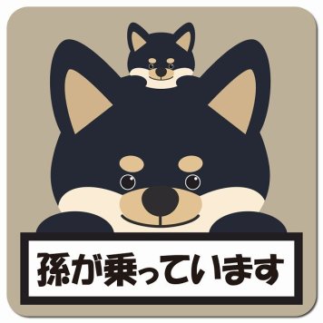 孫が乗っています 祖父母と孫 黒柴 グレーベージュ カーサイン 車 マグネットステッカー マグネット 強力 13x13cm 正方形 防水 屋内 屋外 セーフティサイン 安全運転 車内用 煽り運転対策 安全対策 カーサイン イラスト かわいい