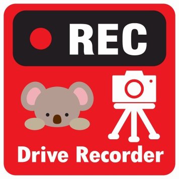 ドラレコ ステッカー シール REC Drive Recorder こあら レッド 13x13cm 正方形 おしゃれ かわいい ドラレコシール 安全対策 危険運転 煽り運転 前後 アニマル 動物 イラスト付 ドライブレコーダー 録画 カーサイン