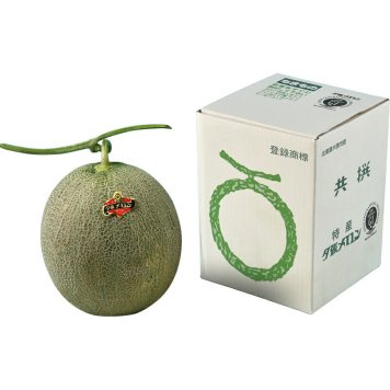 夏の贈り物お中元 夕張メロン 夕張メロン（約1.3kg）×2