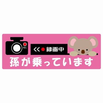 孫が乗っています 録画中 こあら ピンク サインステッカー シール 車 ステッカー 長方形 14x5cm 防水 屋内 屋外 セーフティサイン 安全対策 車用 安全運転 煽り運転対策 安全対策 かわいい イラスト カーサイン