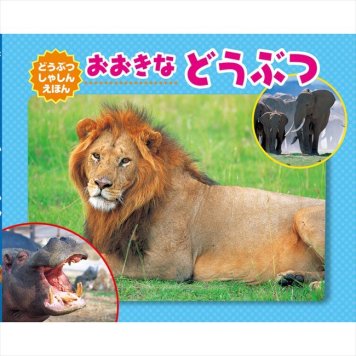 0 知育えほんA（5冊セット）　 COS-25-02E  内祝 内祝い お祝 御祝 記念品 出産内祝い プレゼント 快気祝い 粗供養 引出物