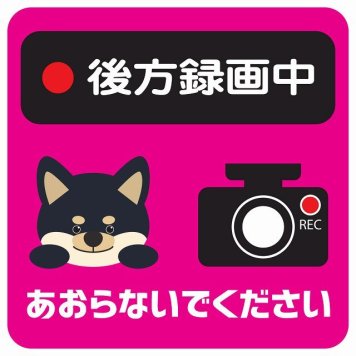 ドラレコ ステッカー シール 後方録画中 あおらないでください 黒柴 ピンク 13x13cm 正方形 おしゃれ かわいい ドラレコシール 安全対策 危険運転 煽り運転 前後 アニマル 動物 イラスト付 ドライブレコーダー REC  カーサイン